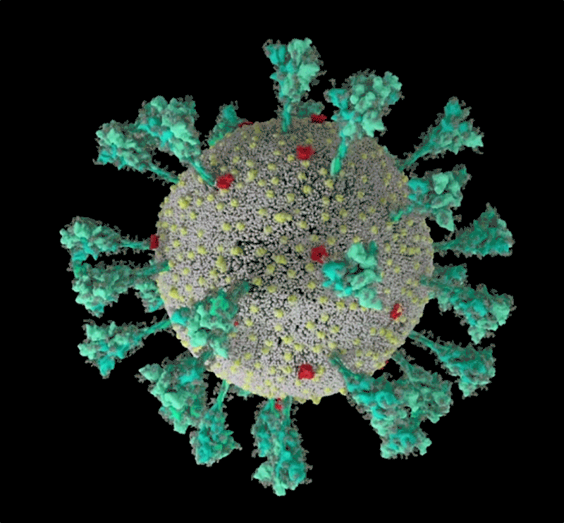 virus