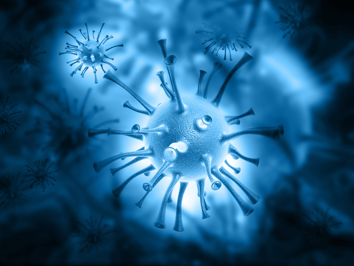 virus