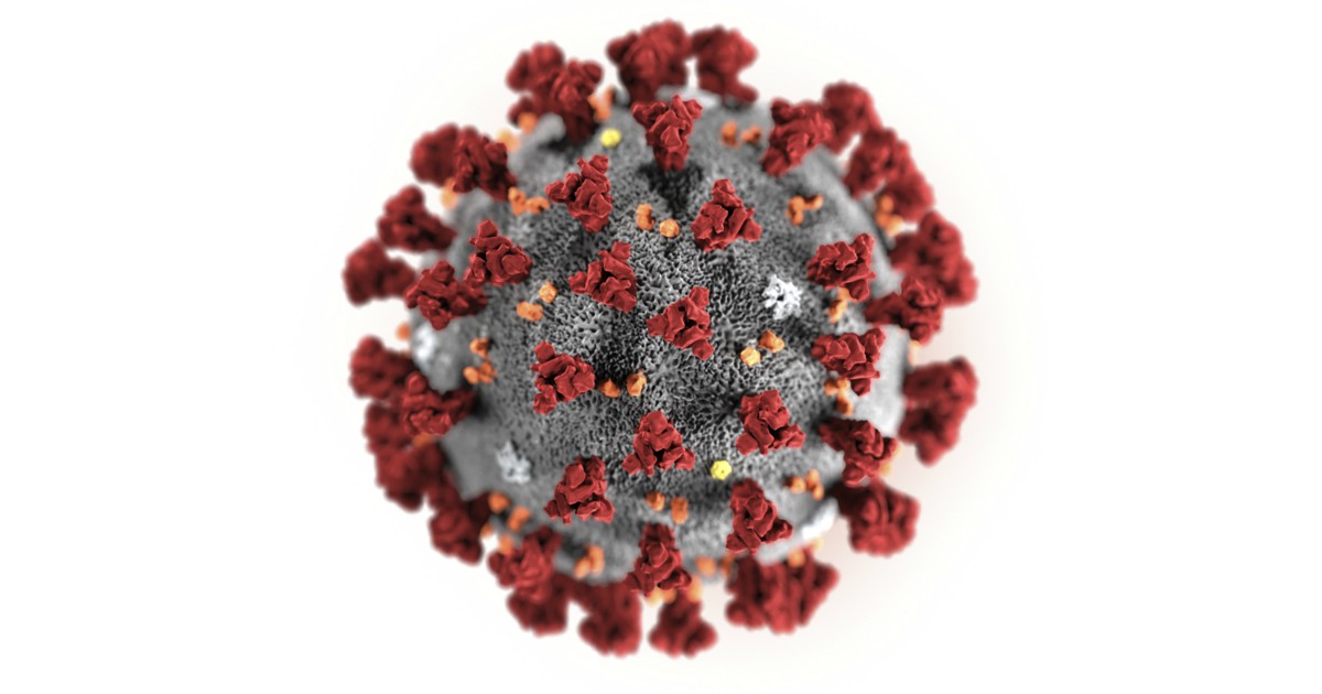 virus