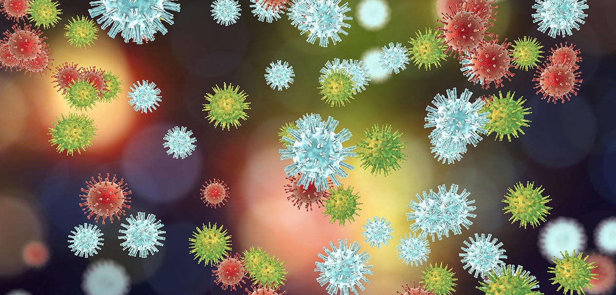 virus