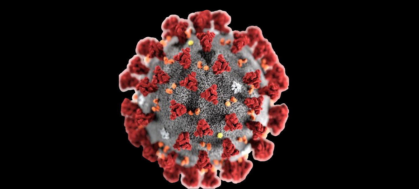 virus