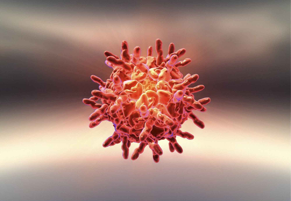 virus