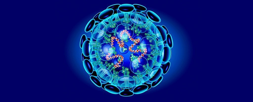 virus